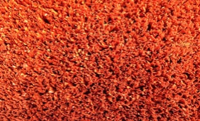 门球场专用卷曲草(不充砂) 　　门球场专用网丝草(充砂) 　　一、门球介绍 　　门球起源于法国，