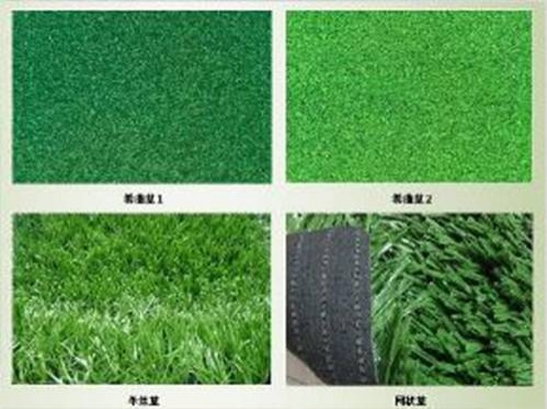 运动型人造草坪